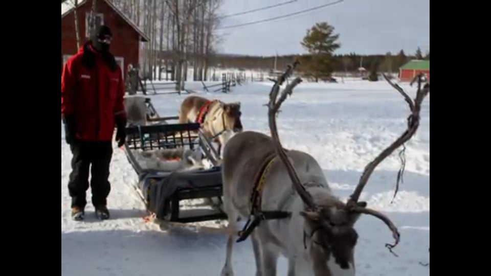 Lappland - ein Wintermärchen - mit ALMOTO Motorrad Reisen