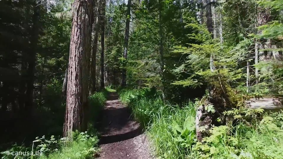 Erlebe den Wells Gray Provincial Park mit dem Wohnmobil! | CANUSA