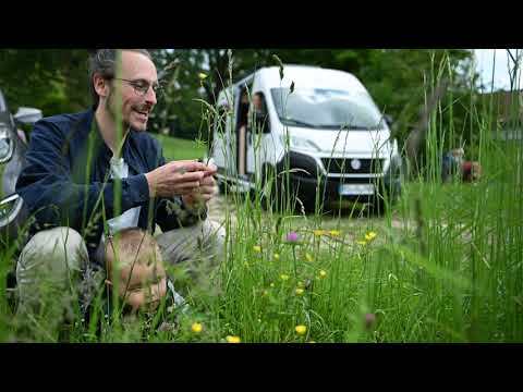 ROADCAR R601 – für die Familie (HQ).jpg