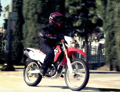 Honda CRF .png