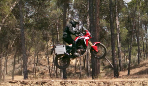 Honda Africa Twin .png