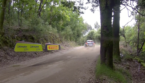 WRC Junior Rallye Portugal 2021 Martins Sesks.png