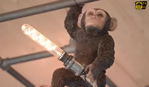 Offroad Monkeys.PNG