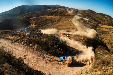 Ford M-Sports Elfyn evans Rallye Mexiko WRC 2023 Staub Hitze.jpg