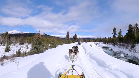 Abenteuer pur_ Unsere Hundeschlittentour durch den wilden Yukon 😍 Absolute Empfehlung! _ CANUSA - abenteuerreisen canada - abenteuerreisen usa - erlebnisreisen canada - usa reisen.jpg