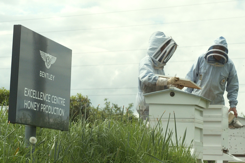 Bentley Nachhaltigkeit Bienen 1 Million Bienen Honig Werk Stammsitz Crewe.jpg