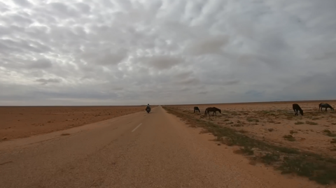 caro unterwegs - motorrad reisen - motorrad erlebnis - motorrad afrika - motorrad abenteuer.PNG