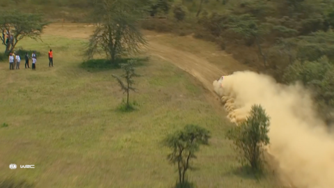 Rallye Safari Kenia 2024 WRC 2024 Ofrroad Wildtiere Elfyn Evans Hyundai Toyota.png