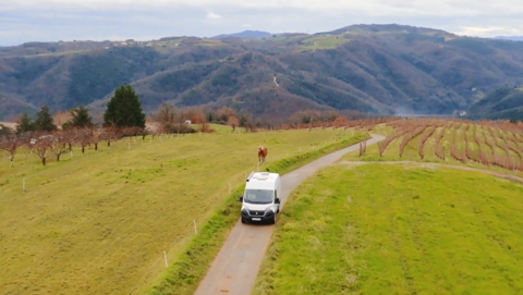 reisemobile dörr - chausson golden line - wohnmobile - camper van - wohnwagen.PNG
