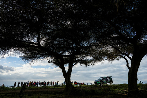 Gus greensmith Ford M Sport WRC 2024 WRC 2 Führender Freitag Kenya Safari.jpg