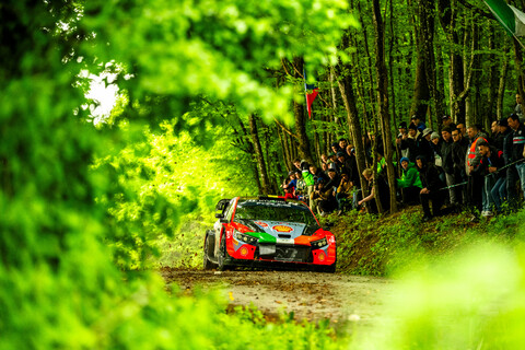 Thierry Neuville Spitzenreiter WRC 2024 Rallye Kroatien Asphaltrallye Hyundai i20 rallye.jpg