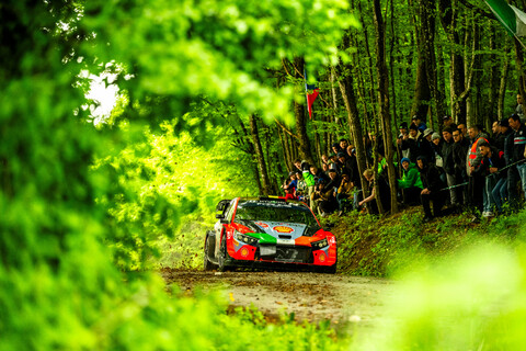 Thierry Neuville Spitzenreiter WRC 2024 Rallye Kroatien Asphaltrallye Hyundai i20 rallye.jpg