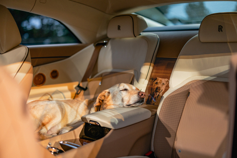 rolls-royce-spectre Bailey Hund Hommage.jpg