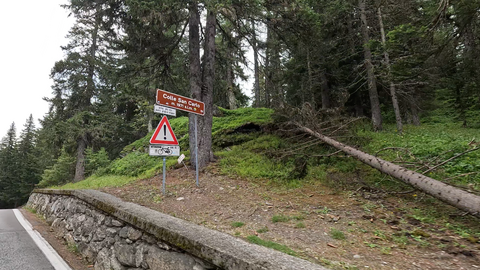 Die Passhöhe des Colle San Carlo ist, trotz fast 2000 Höhenmetern, gut bewaldet. Parkbuchten, ein Restaurant samt Hotel bieten Möglichkeiten eine Pause einzulegen.