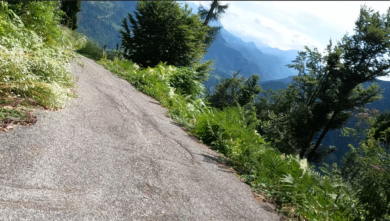 Zwischendurch lichtet sich die Vegetation auf der alten Ostrampe. Dann bietet sich eine herrliche Aussicht ins Tal Richtung Süden.