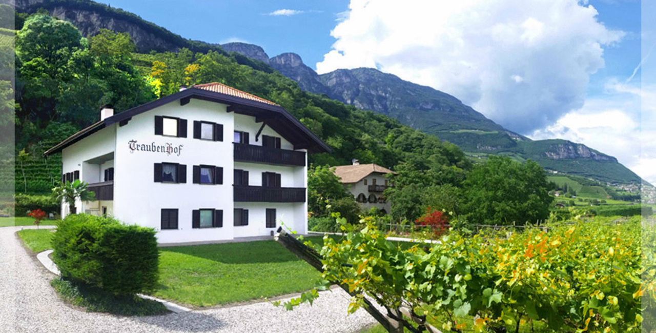 Haus Traubenhof.jpg