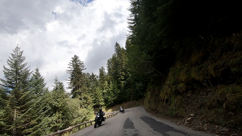 Der obere Teil der Südrampe führt durch dichten Wald entlang eines nur mäßig abfallenden Gebirgskamms.