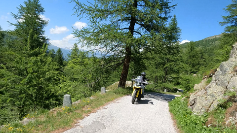 Die Nordrampe des Colle Fauniera und zugleich Colle d'Esischie – Richtung Marmora – ist vergleichsweise gut bewaldet. Die Straße ist extrem schmal.