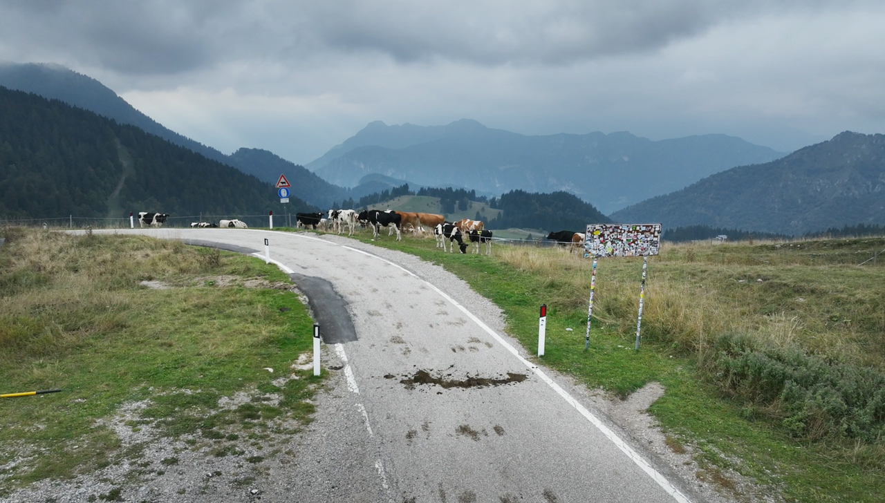 Kann man mit Google Maps Motorradtouren planen?